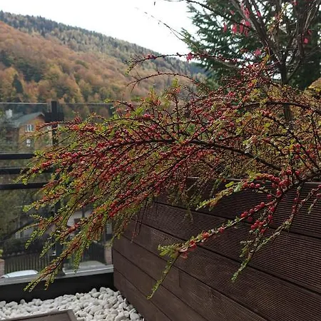 Lejlighed Reef Terrace *